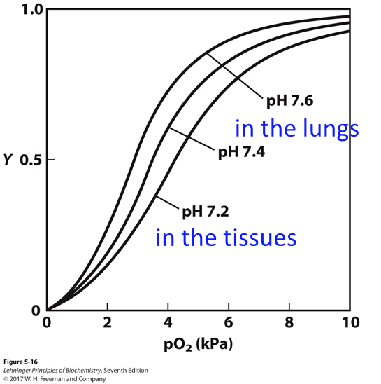 image-20241113191903514