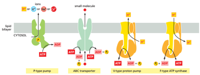 image-20251014225211675