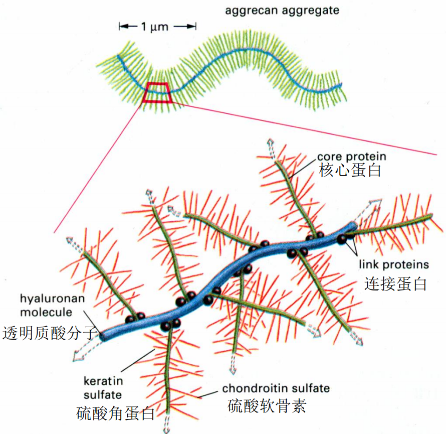 image-20251015103435596