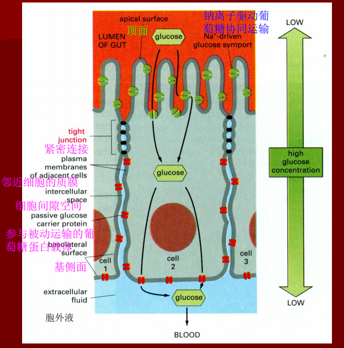 image-20251015104305404