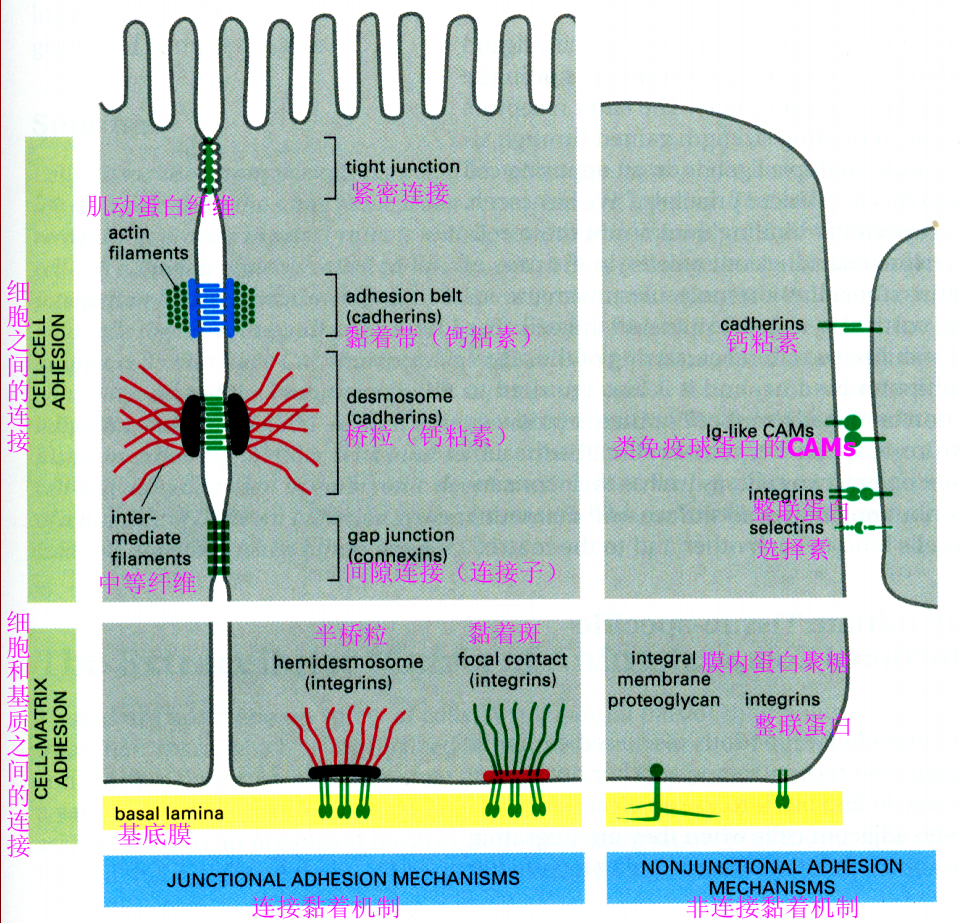 image-20251015111525016