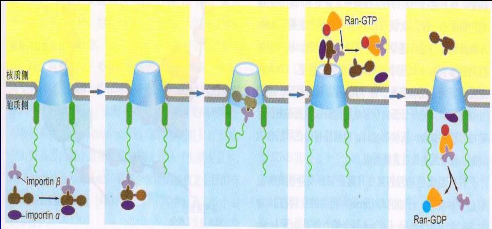 image-20251015114538194