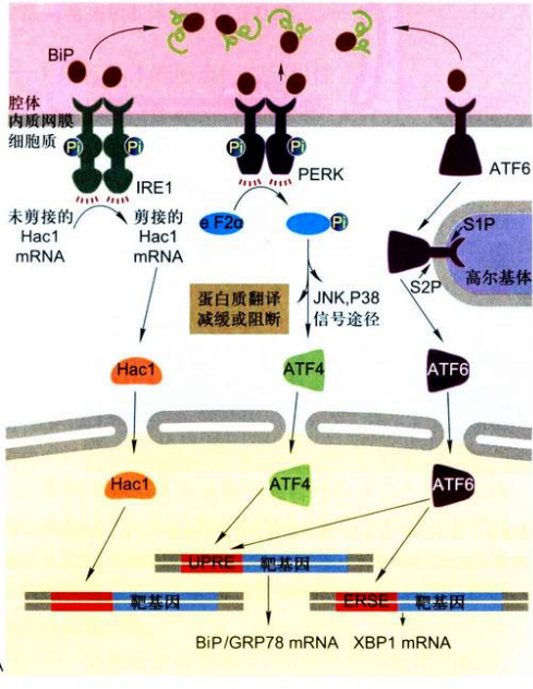 image-20251016183401016