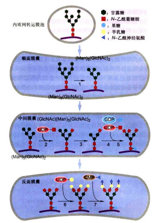 image-20251016185057748