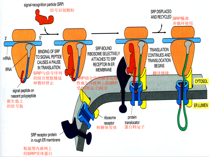 image-20251209212726622