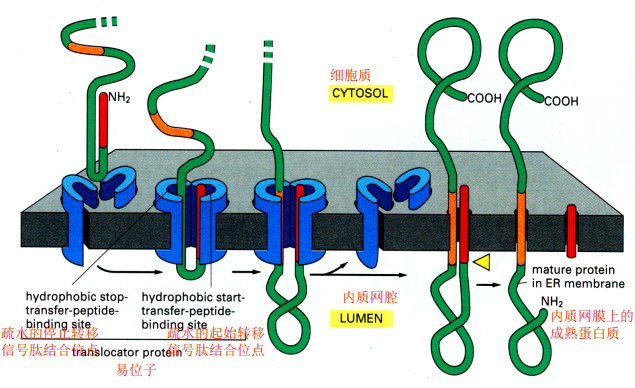 image-20251209214437446