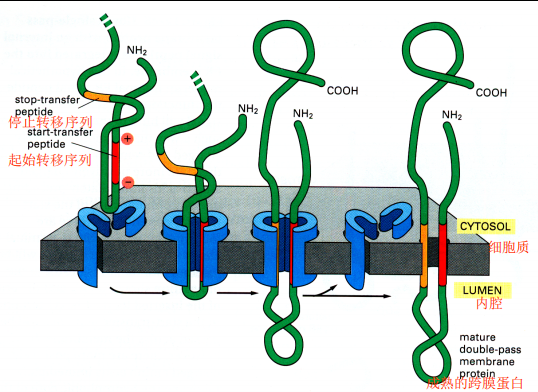 image-20251209214504112