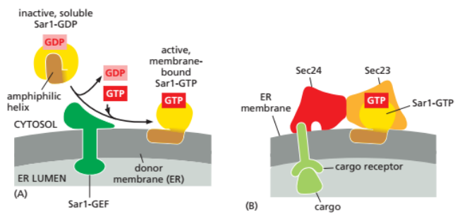 image-20251209222241911