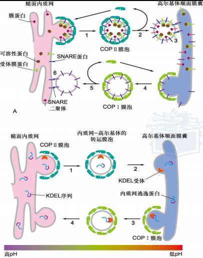 image-20251209222734365