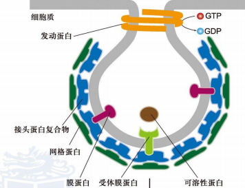 image-20251209224655788