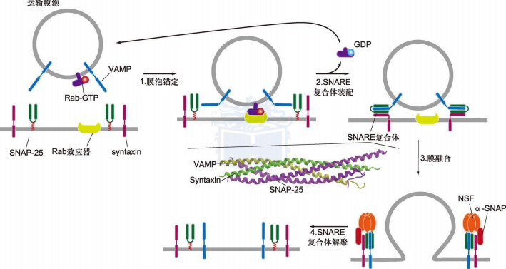 image-20251209231817570