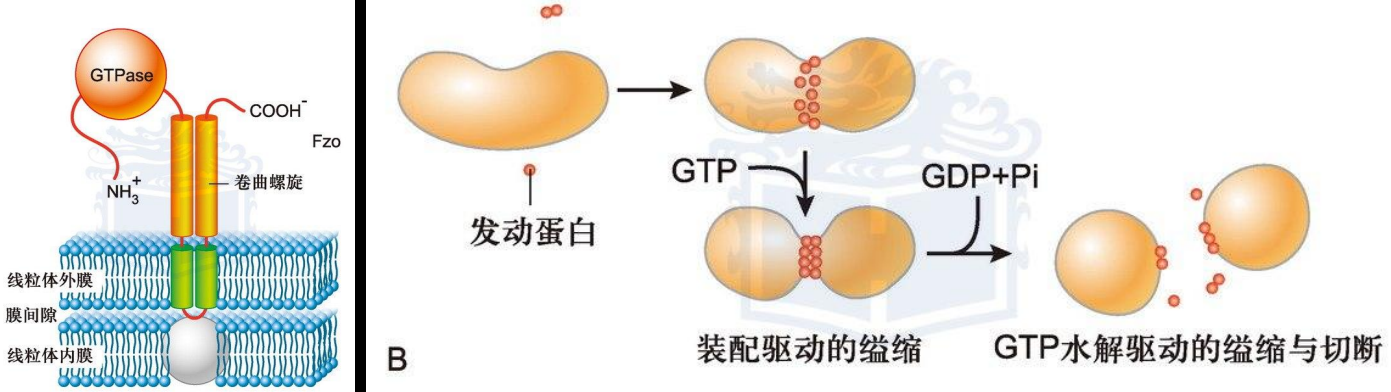 image-20251214212816329