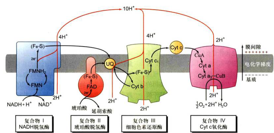 image-20251214222411170