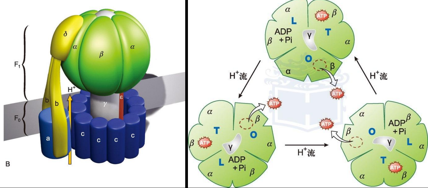 image-20251214223458045