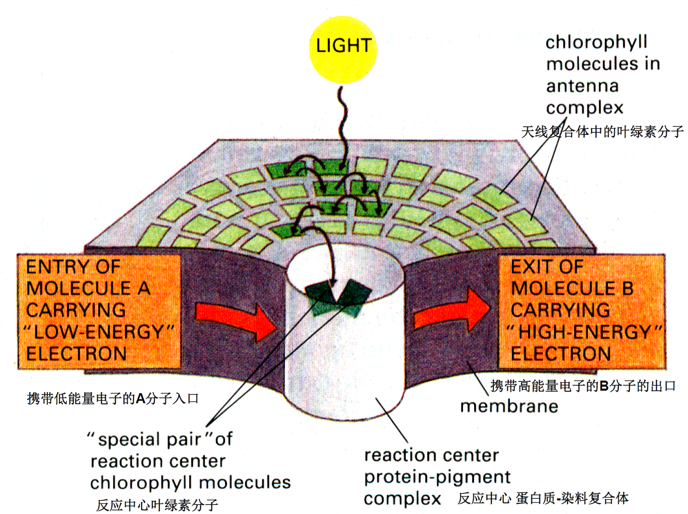 image-20251215134825952