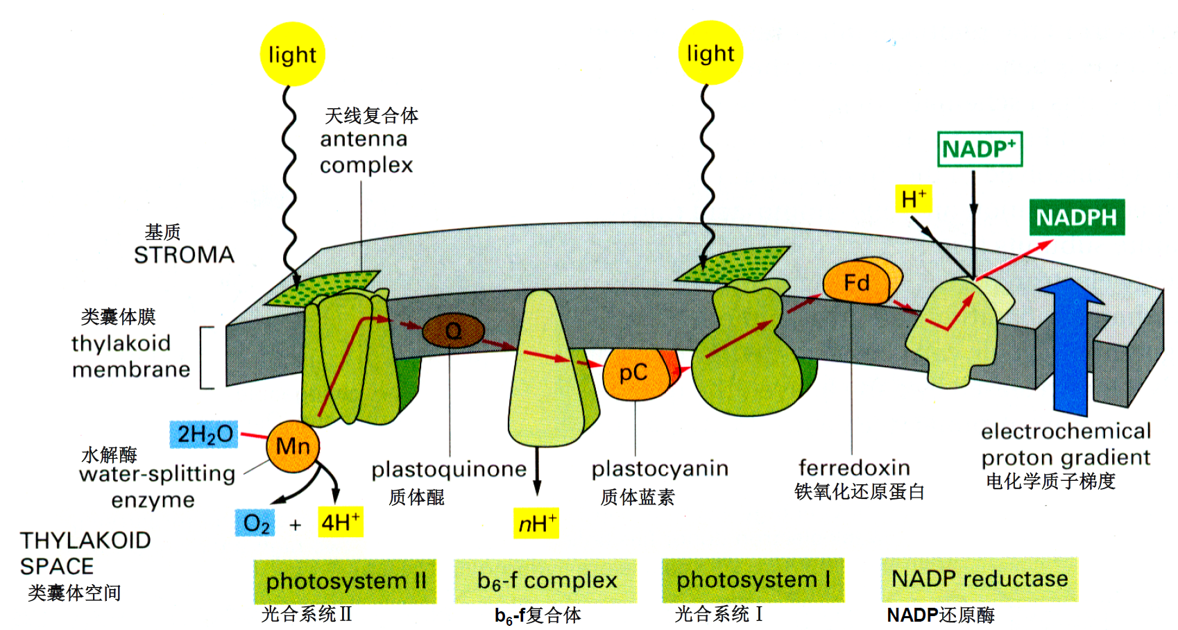 image-20251215135151458