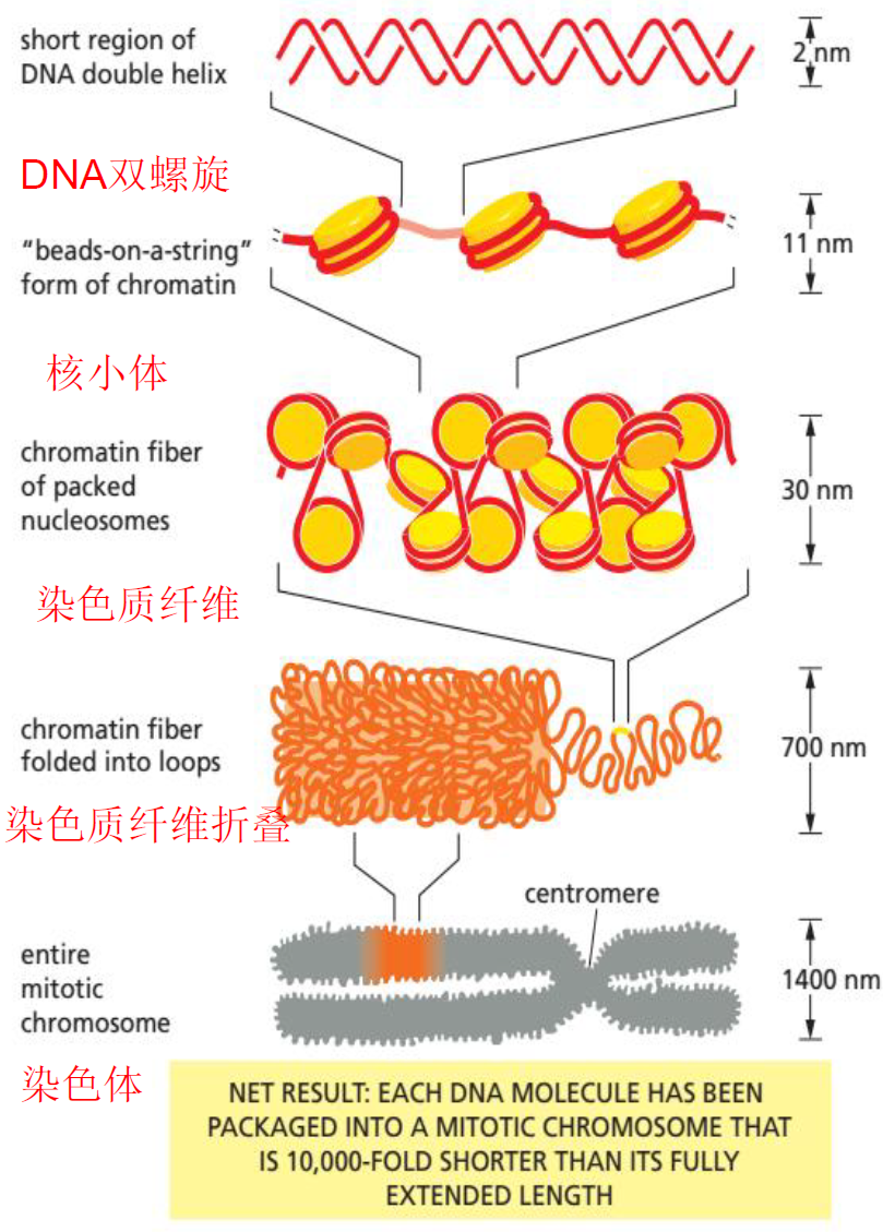 image-20251215142458895