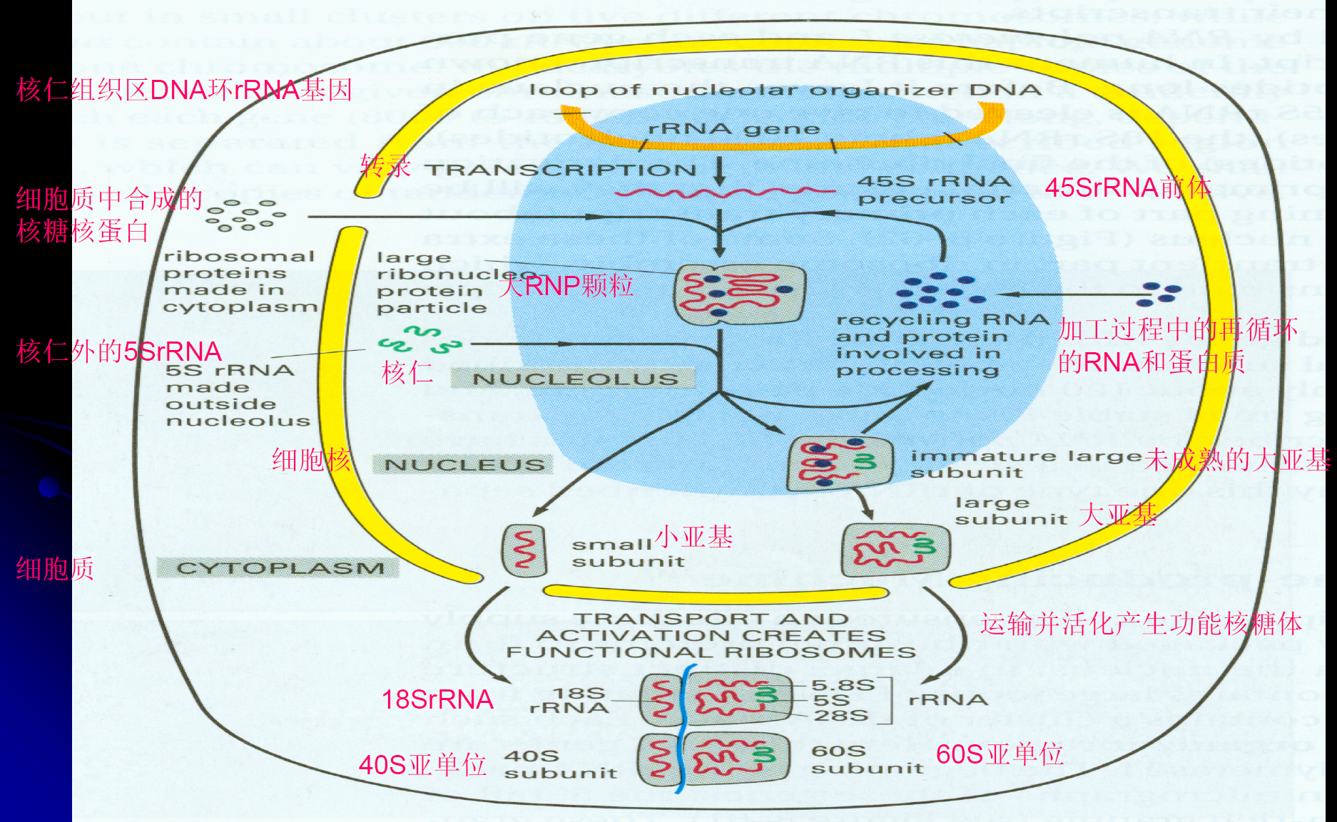 image-20251215213600557