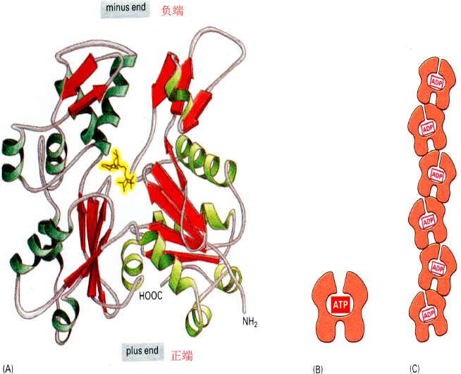 image-20251216194629944