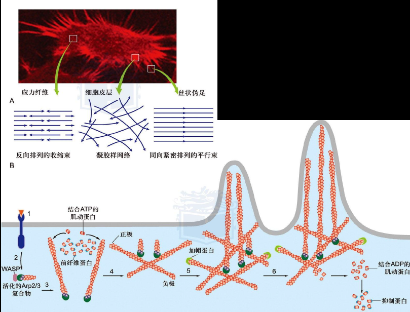 image-20251216202122953