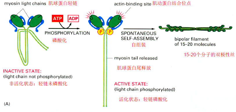 image-20251216202527306