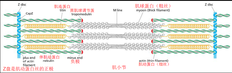 image-20251216210101212