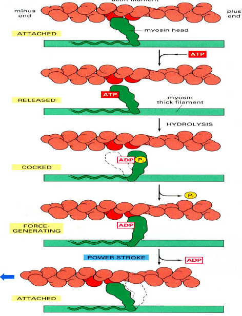 image-20251216212235214
