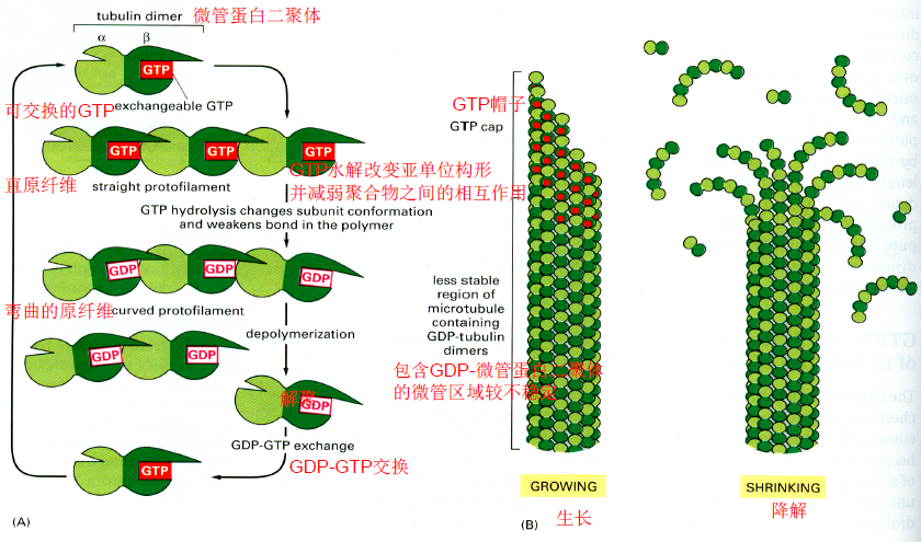 image-20251216214457026