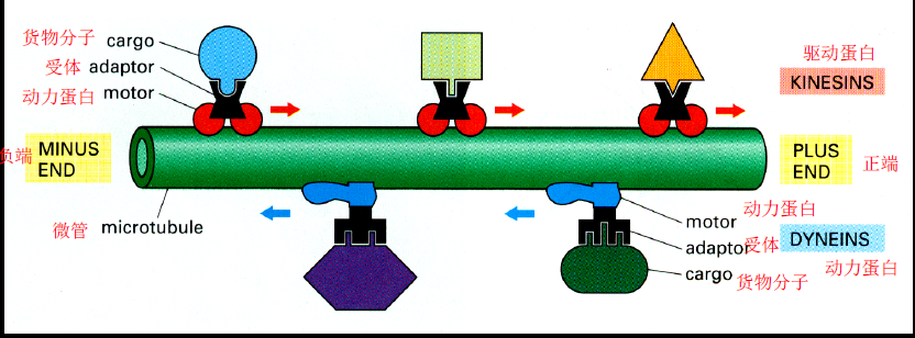 image-20251216220848472