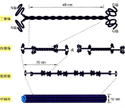 image-20251216223506627