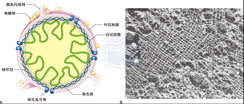 image-20251216224425008