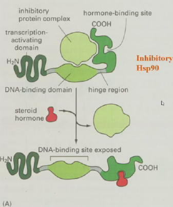 image-20251221200542713