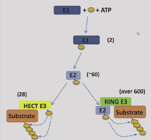 image-20260113123959643