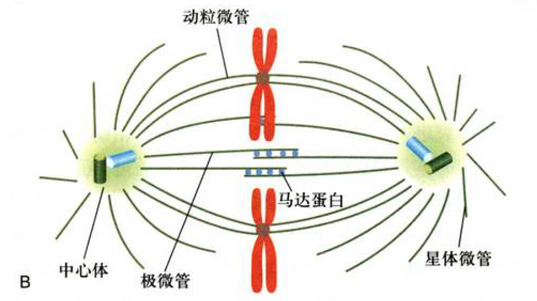 image-20260113152722166