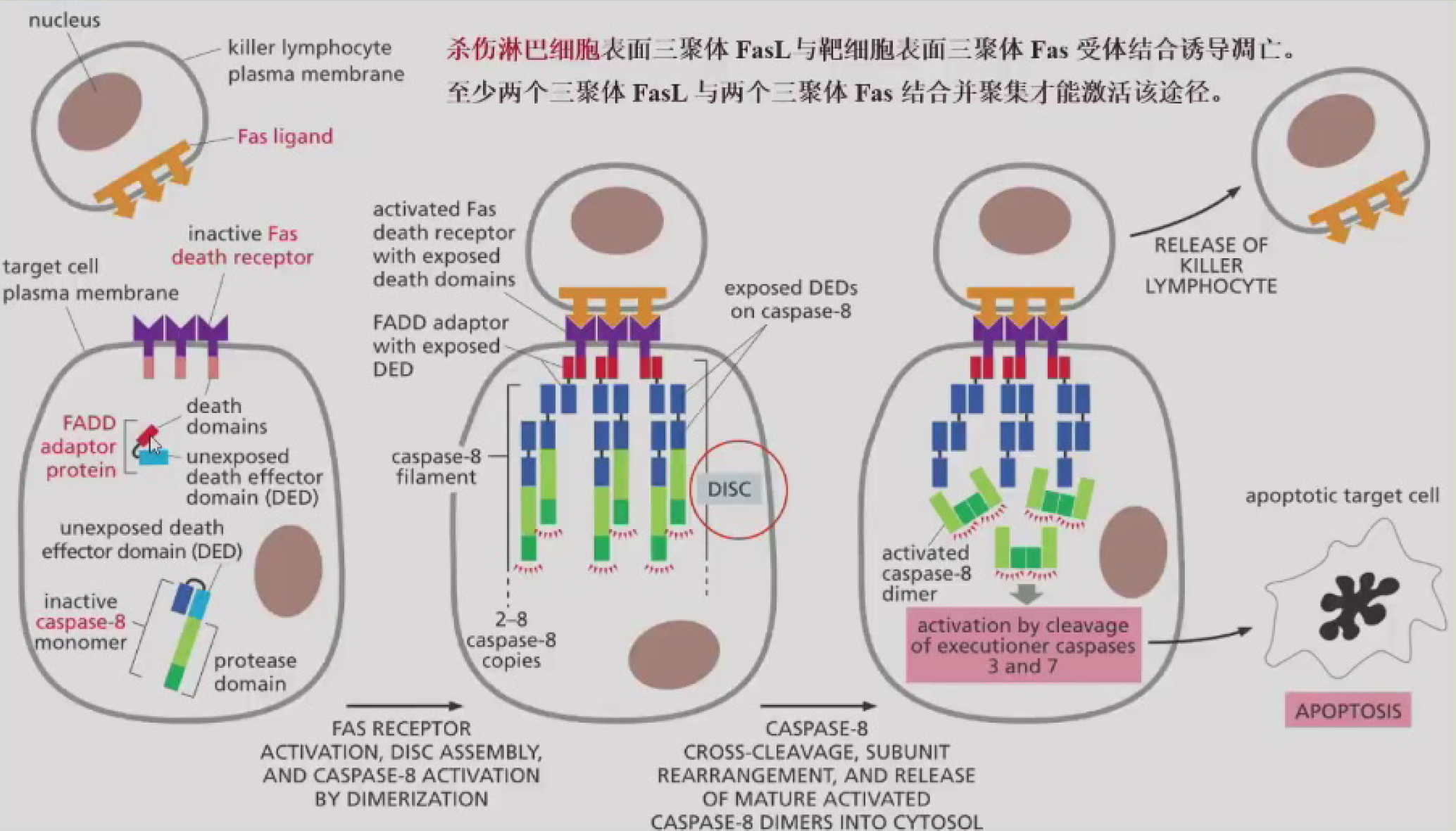 image-20260113204417512