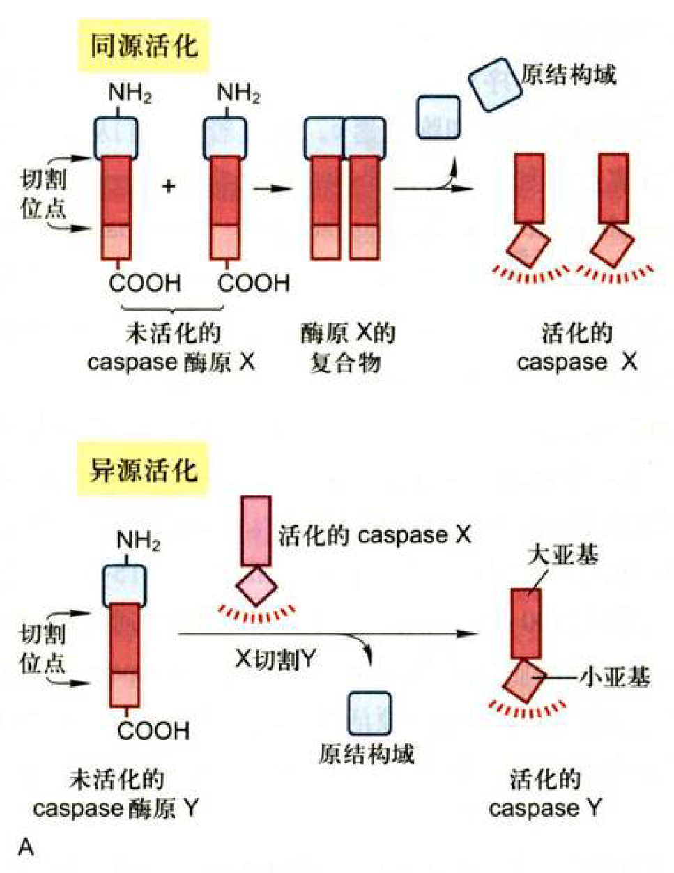 image-20260113210550120