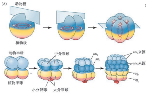 image-20251129151848522