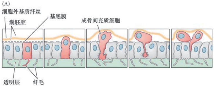 image-20251129154856972