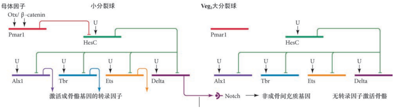 image-20251129164054291