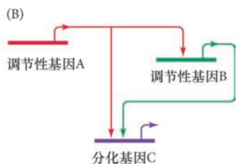 image-20251129164623180