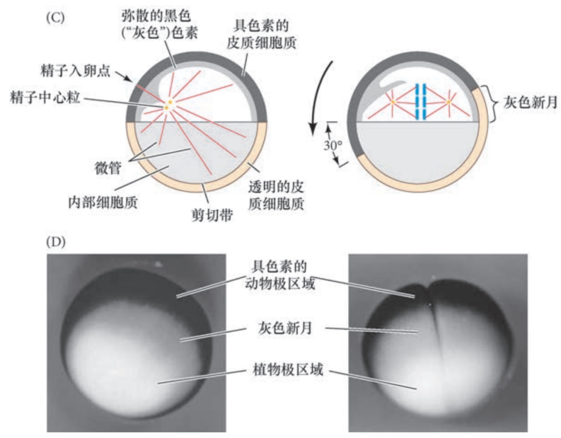 image-20251129192427666