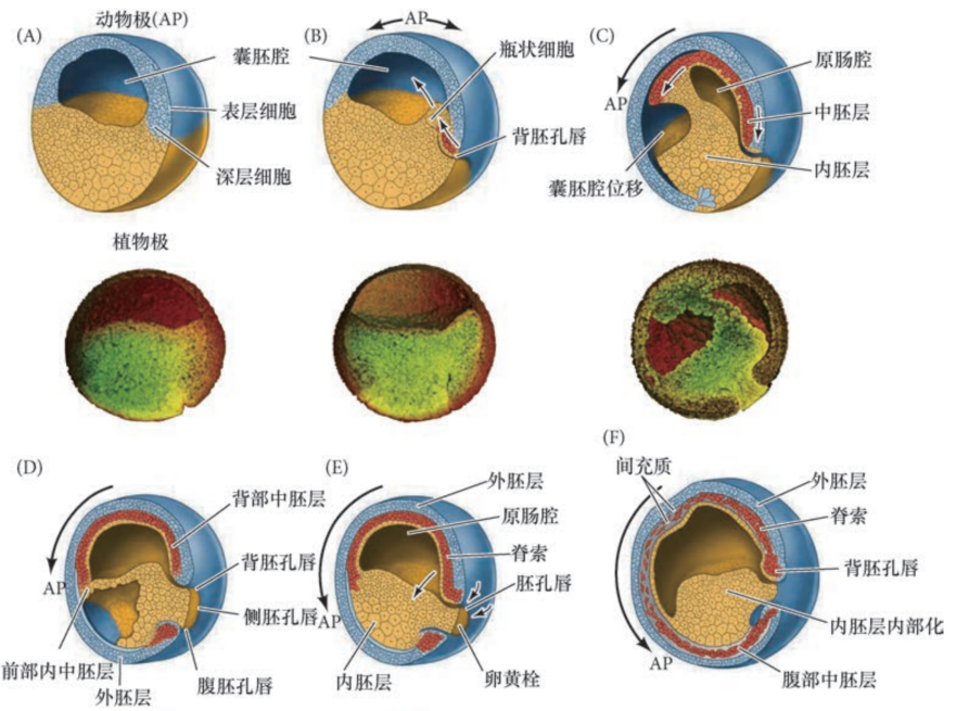 image-20251129200623893