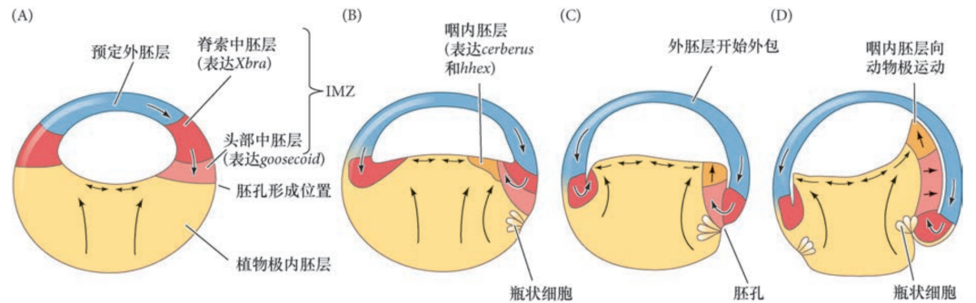 image-20251129200641919