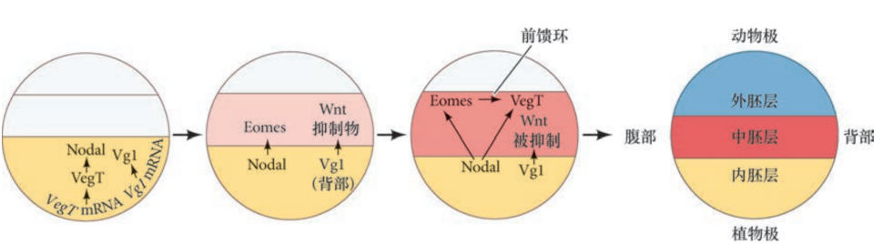 image-20251129202220464