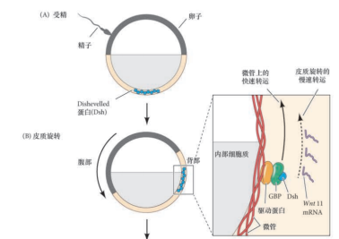 image-20251129210530677