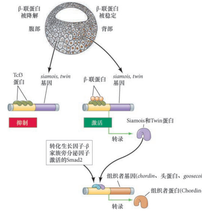 image-20251129212013997