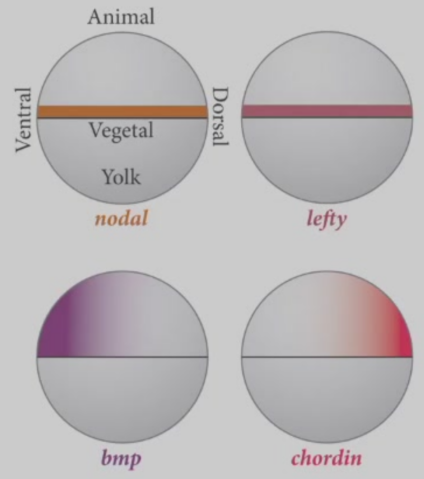 image-20251129223301820