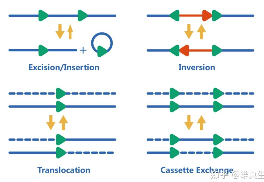 image-20251225232913625