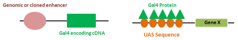 image-20251226160831107