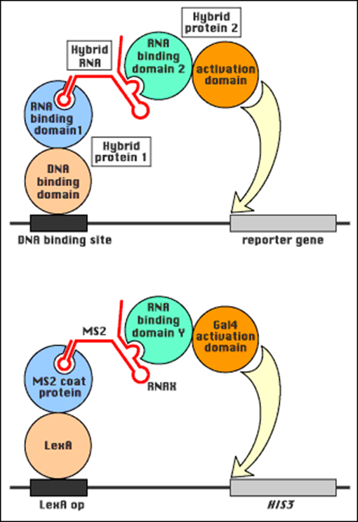 image-20251226164732178